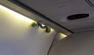 Les passagers découvrent un serpent dans l'avion