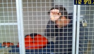 Enfermé dans une cage de la SPA, Rémi Gaillard fond en larmes