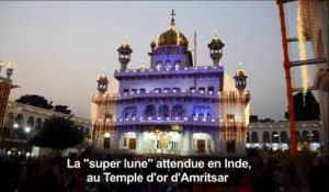 Inde: la "super lune" au Temple d'or d'Amritsar