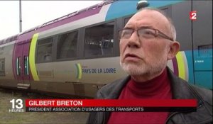 SNCF : quand des feuilles mortes bloquent les trains