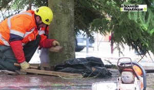 VIDEO. Châteauroux : le sapin installé place de la République