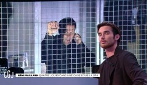 En cage depuis 3 jours pour soutenir la SPA, Rémi Gaillard demande l'aide de Vincent Bolloré ! (Vidéo)