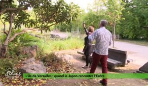 Folies Botaniques au jardin de l'île Versailles #3