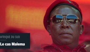 Qui est Julius Malema, l'homme qui veut exproprier les Blancs sud-Africains?