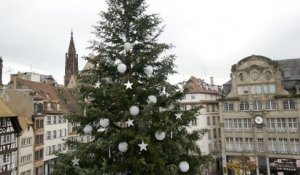 La préparation du Sapin de Noël de Strasbourg