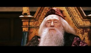 Les 8 films d'Harry Potter compilés en 1h20 par un fan !