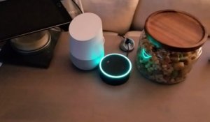 Faire planter en boucle 2 assistants personnels Echo et Alexa - Google vs Amazon