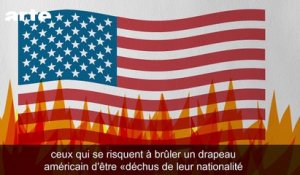 Trump et Philippot : Outrage au drapeau - DESINTOX - 05/12/2016