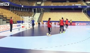 Handball - Lacrabère : "On s'attendait à être dans la difficulté"
