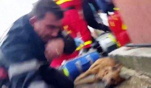 Le 'bouche-à-gueule' héroïque d'un pompier qui a permis de sauver la vie d'un chien