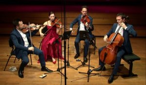 Franz Schubert : Quatuor à cordes n° 12 en ut mineur D. 703 « Quartettsatz » : Allegro assai par le Quatuor Casal