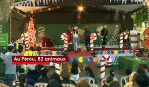 Calendrier de l'Avent : un carnaval de Noël pour sensibiliser aux droits des animaux