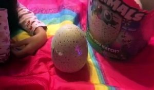 Ce jouet pour enfants dit "Fuc.. You" pendant son sommeil !  Nasty Cussing Hatchimal !!