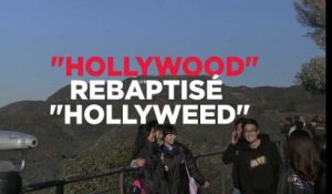Los Angeles : le panneau "Hollywood" s'est transformé en "Hollyweed"
