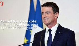 Sondage primaire de la gauche : Valls en tête, grosse percée de Hamon