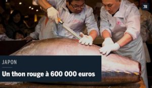 Japon : un thon rouge adjugé 600 000 euros