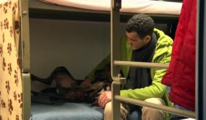 Le prince Laurent et sa famille visitent un refuge pour sans-abri et leurs chiens