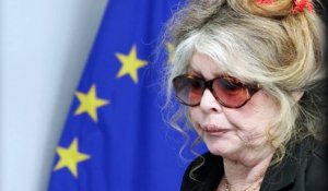 Hollande, Valls, Depardieu, Deneuve : Bardot dézingue à tout va