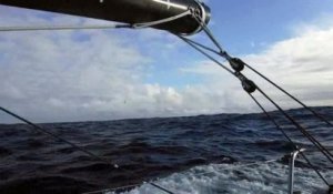 D65 : Rich Wilson in pleasant company / Vendée Globe