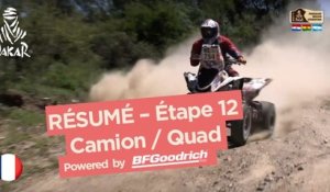 Résumé de l'Étape 12 - Quad/Camion - (Río Cuarto / Buenos Aires) - Dakar 2017