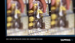 Ils découvrent des vers dans des Ferrero Rocher (vidéo)