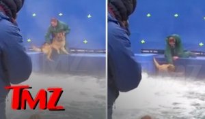 Un dresseur force un chien terrifié à rentrer dans l'eau pendant le tournage de « Mes vies de chien »