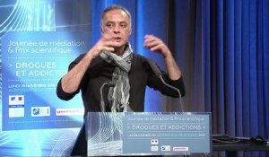 13 - Journée de médiation et Prix scientifique MILDECA « Drogues et addictions », 28 novembre 2016 – Présentations de la session 4 « Les nouveaux Réseaux de recherche sur les drogues et les addictions »