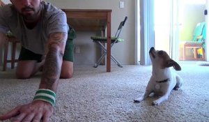 Petite séance de yoga avec... Son chien!