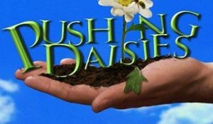 Pushing Daisies - Saison 2 Promo #2