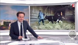 Salon de l'Agriculture : la vache de l'affiche a été choisie