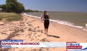 Cette plage australienne est envahie par des milliers de méduses