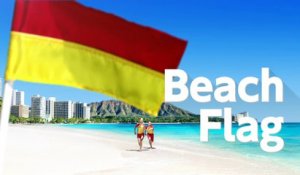 1-2 Switch : Présentation de Beach Flag