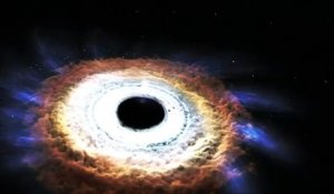 Des chercheurs observent le plus long engloutissement d’une étoile par un trou noir. Incroyable