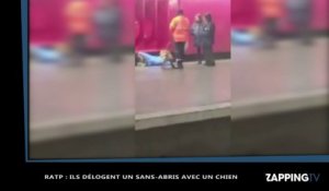 Le chien d'un agent de sécurité s'attaque à un SDF dans le métro parisien, la vidéo choc