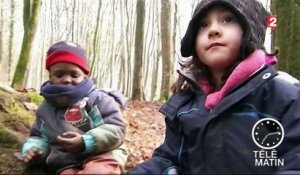 Sans frontières - Luxembourg : une école maternelle s’est installée dans une forêt