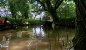 Marais Poitevin: Un observatoire pour étudier la biodiversité