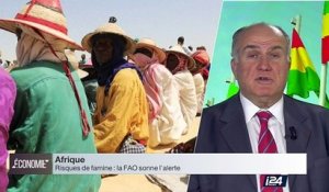 Perspective Afrique : la menace d'une famine resurgit en Afrique de l'Ouest.