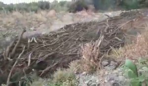 Une crue éclaire incroyable à San Fernando - 25 février 2017