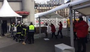 (3) Une vache en liberté au Salon de l'Agriculture