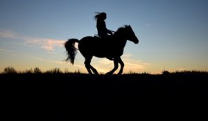 [L'animal & l'homme] Mieux gérer sa vie : en selle avec les chevaux !