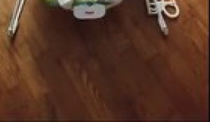 Un Bebe Qui Joue Avec La Queue De Son Chat Sur Orange Videos