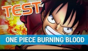 TEST One Piece Burning Blood : Un premier jeu de combat réussi