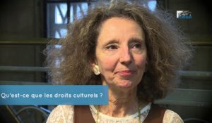 Questions à Sylvie PEBRIER ( Ministère culture et communication) - démocratie culturelle  - cese