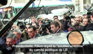 Fillon reçoit le "soutien unanime" du comité politique de LR