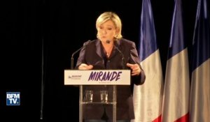"Comme Mélenchon, les candidats à la présidentielle sont des hologrammes", pour Marine Le Pen