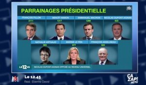 Présidentielle : qui a eu ses 500 parrainages ?