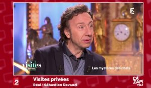 Stéphane Bern se lâche sur France 2 !