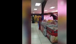 Un homme rentre dans un supermarché à cheval !