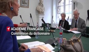 Académie française : le travail du dictionnaire #Francophonie #20mars