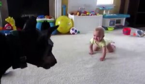Ce chien fait éclater de rire un petit bébé !